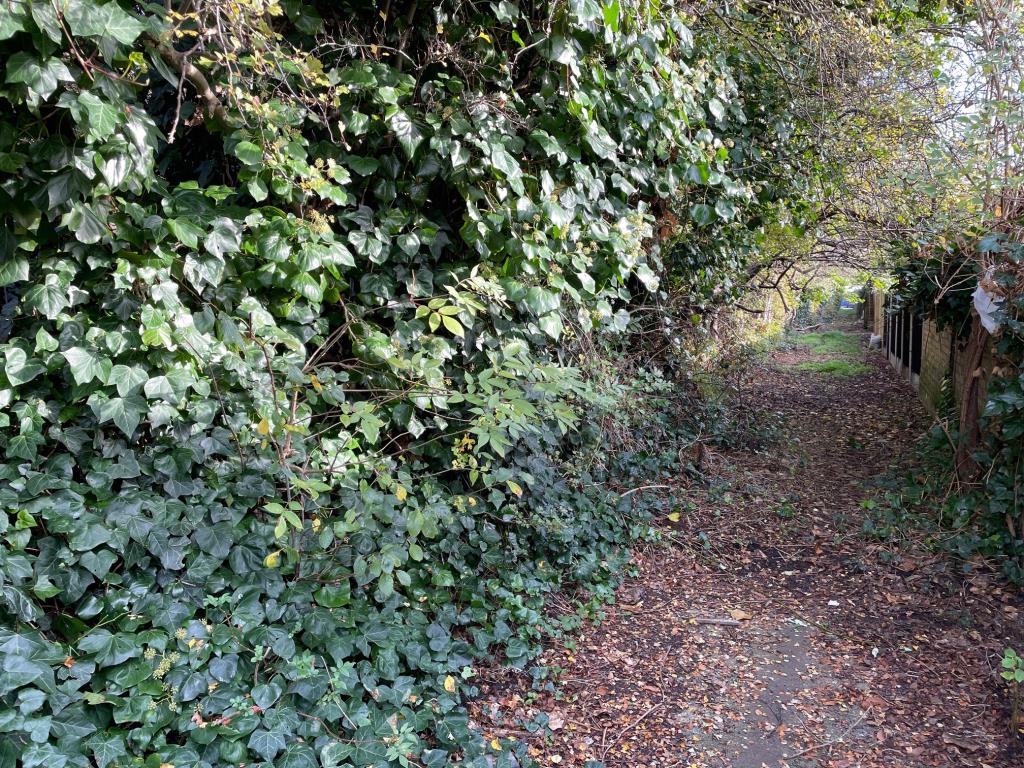 Lot: 114 - OVERGROWN PARCEL OF LAND IN RESIDENTIAL AREA - View along the pathway back towards Linley Crescent